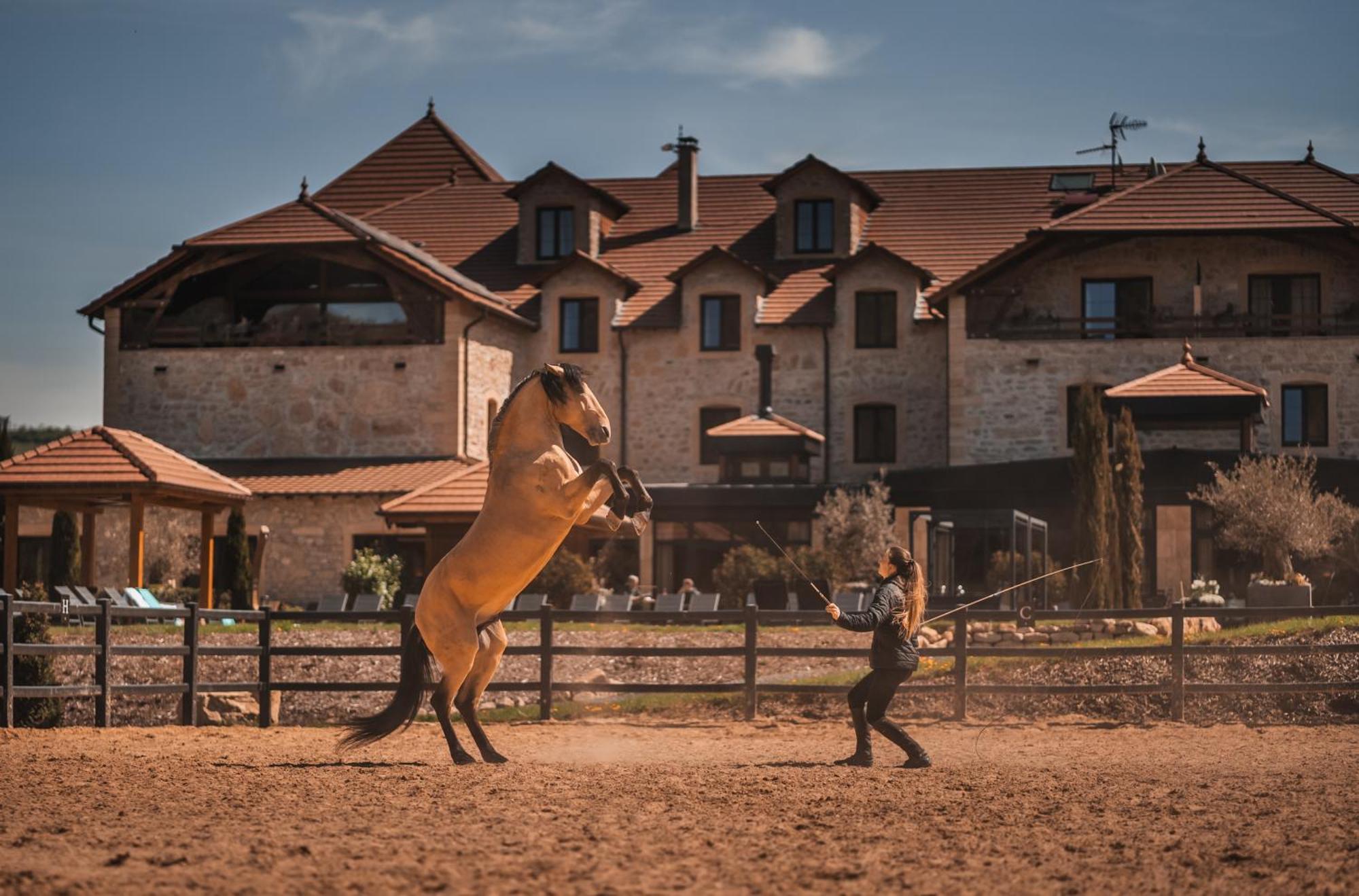 Domaine De La Klauss & Spa, Restaurant Gastronomique Le K Montenach Εξωτερικό φωτογραφία